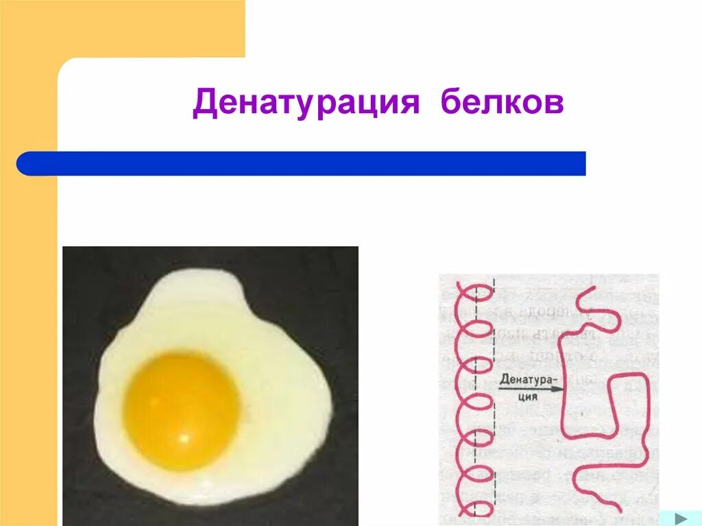 Белок можно обнаружить. Необратимая денатурация белка схема. Биологические факторы денатурации белка. Термическая денатурация белка. Денатурация белка реакция формула.