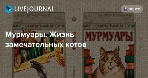 Моя кошачья жизнь