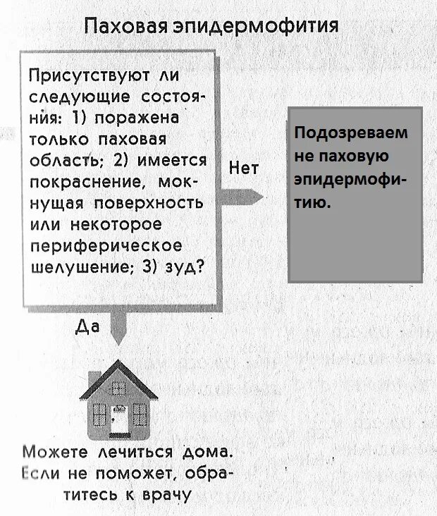 Лекция на тему: Чесотка Грибковые