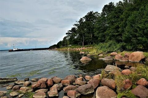 Приморск ленинградская область на 3 дня