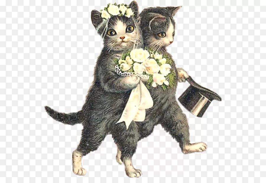 Кошки выходят замуж. Винтажные котики. Открытки с изображением кошек. Свадебные коты. Коты Винтаж.
