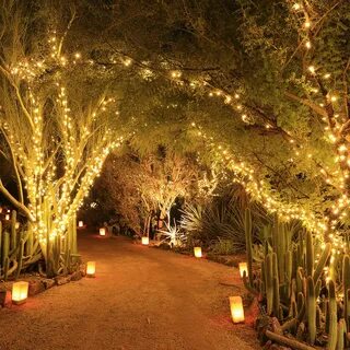 200 LED Solar Fairy Lights String Christmas Garden Outdoor Tree Party Light.