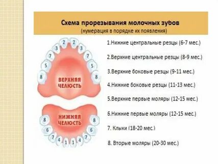 Ребенку 7 лет молочные зубы не выпадают