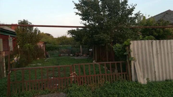 Погода в сухой елани саратовская область. Сухая елань. Погода в сухой елани саратовская область. Сухая елань балашовский. Погода в сухой елани саратовская область.