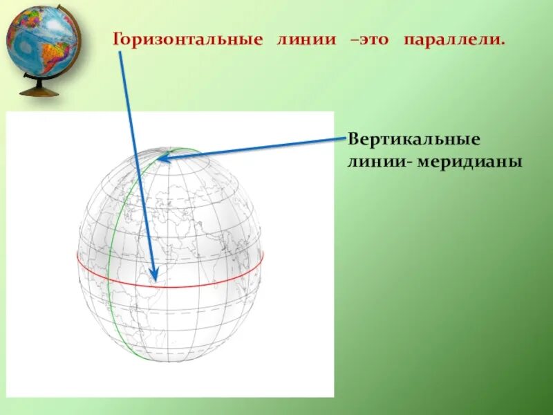 Вертикальные линии на глобусе. Параллели и меридианы. Градусная сеть. Сетка меридианов и параллелей. Презентация градусная сетка