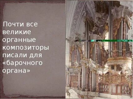 3 факта о органе