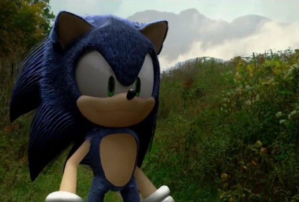 Enya sonic