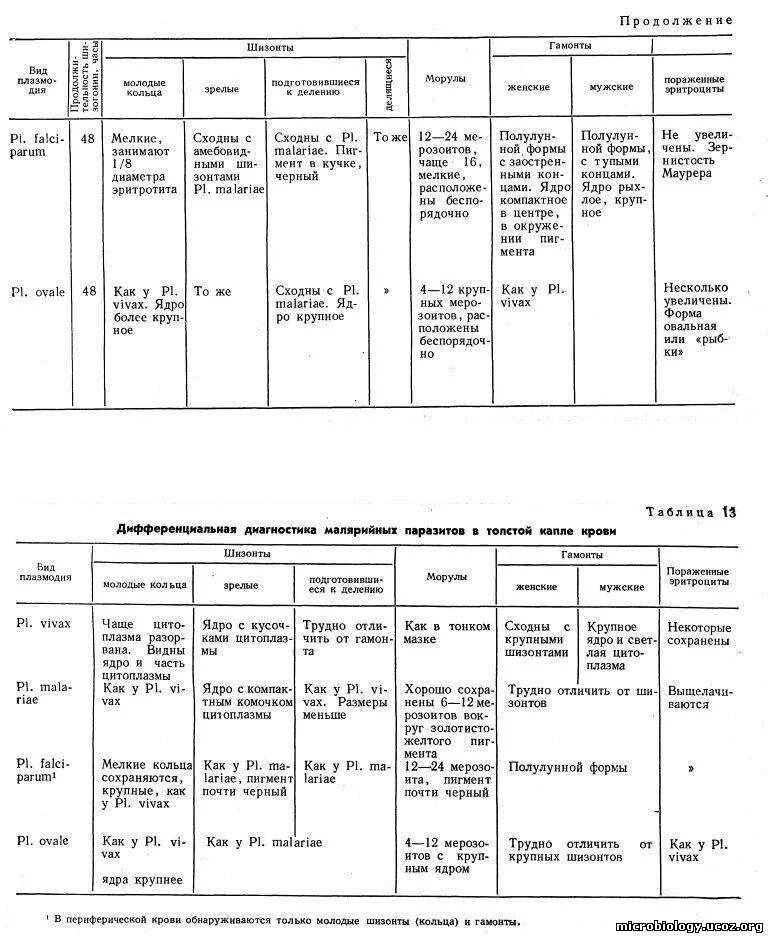 Сравнительная характеристика малярийных плазмодиев. Дифференциальная диагностика малярийных плазмодиев. Малярийный плазмодий сравнительная таблица. Сравнительная характеристика малярийных плазмодиев таблица.