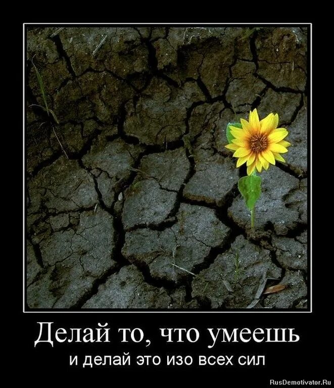 Продолжаем жить дальше. Желание жить. Мотиваторы. Демотиваторы про жизнь. Мотиватор демотиватор.