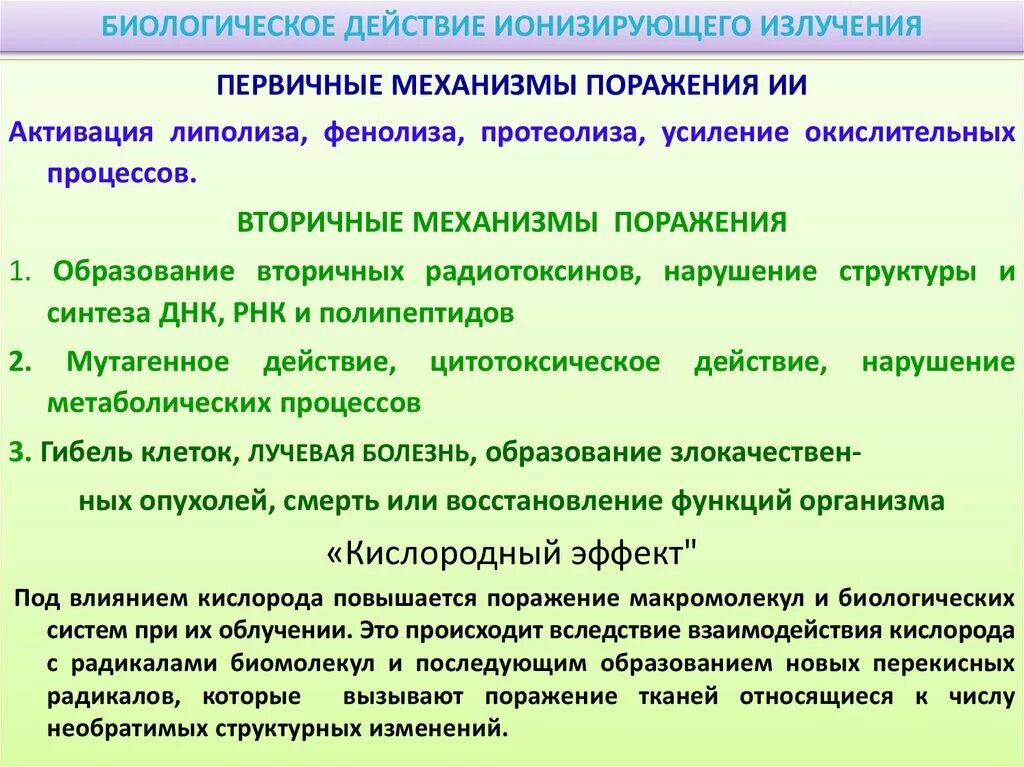 Механизм действия ионизирующего излучения на организм. Механизм действия ионизирующих излучений на организм. Биологическое действие ионизирующей радиации. Основы биологического действия ионизирующих излучений. Радиация механизм