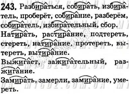 Русский номер 243