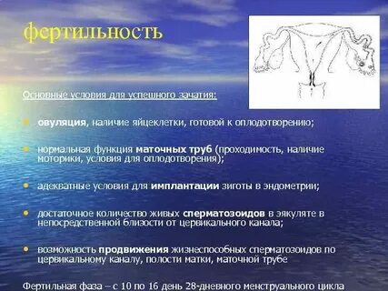 Матка функции