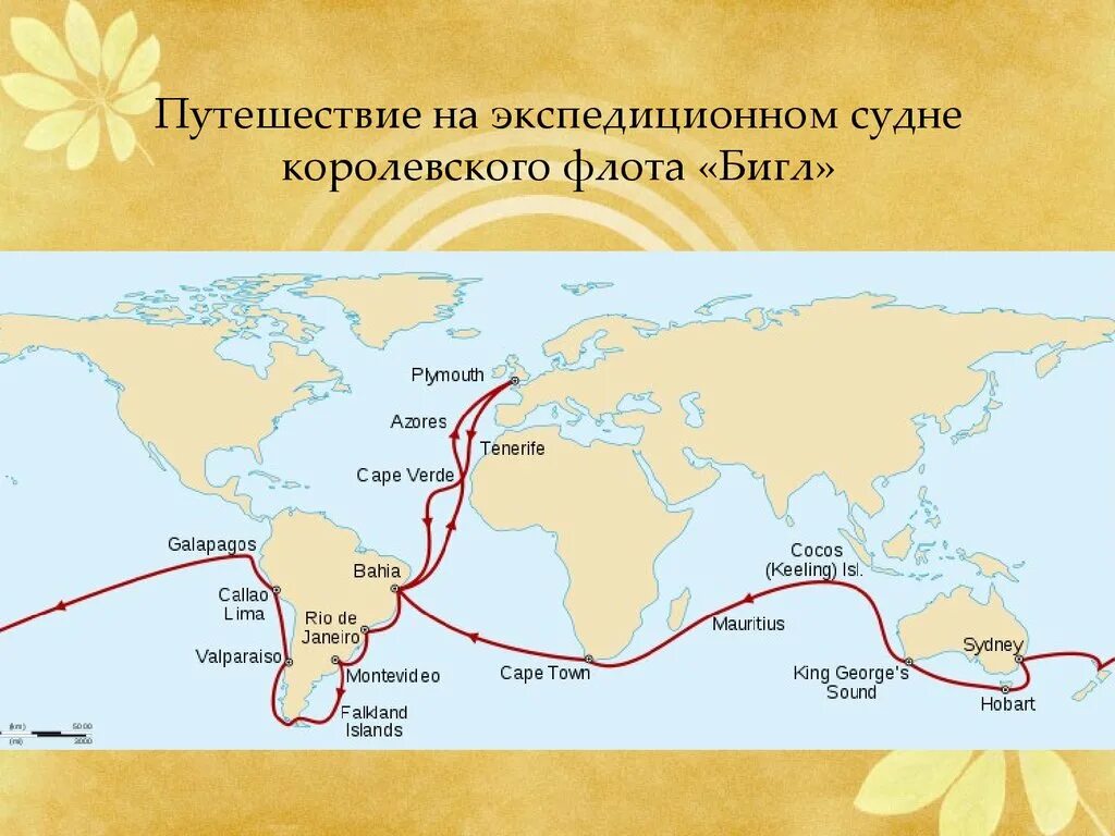 Ч дарвин кругосветное путешествие. Карта путешествия Чарльза Дарвина на корабле Бигль. Путешествие Дарвина на корабле Бигль. Маршрут кругосветного путешествия Чарльза Дарвина.