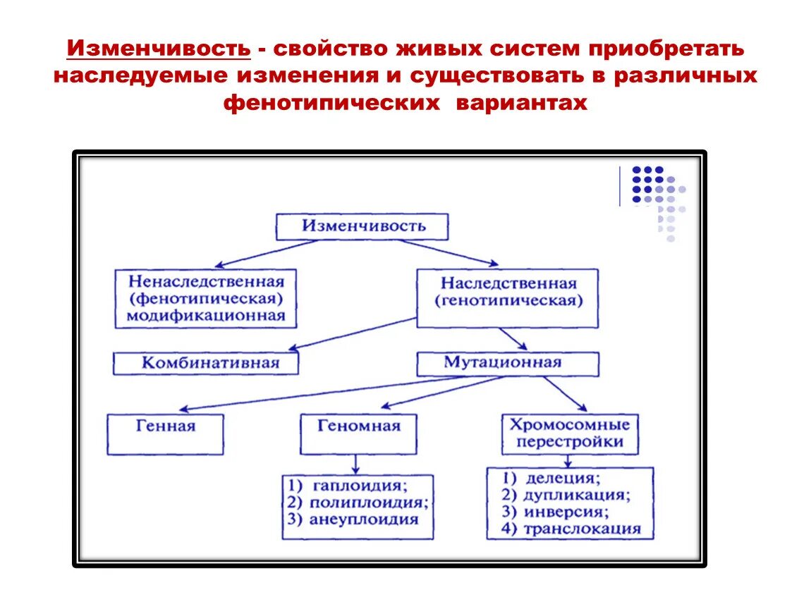 Изменчивость признаков виды изменчивости 10 класс. Фенотипическая изменчивость. Свойства изменчивости. Свойство живого изменчивость. Характеристика изменчивости.