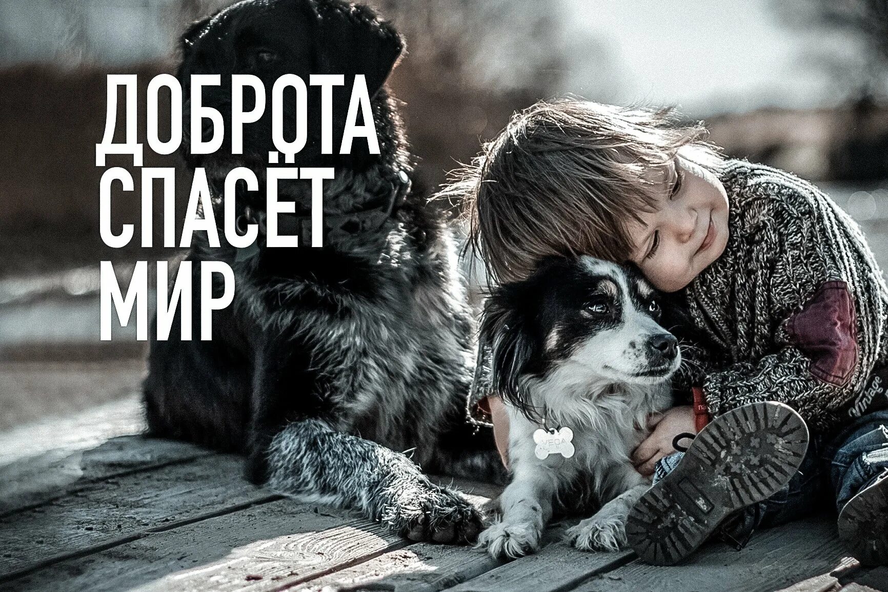 Мир 19 спасет мир. О доброте. доброта картинки. доброта и любовь. доброта спасет мир.