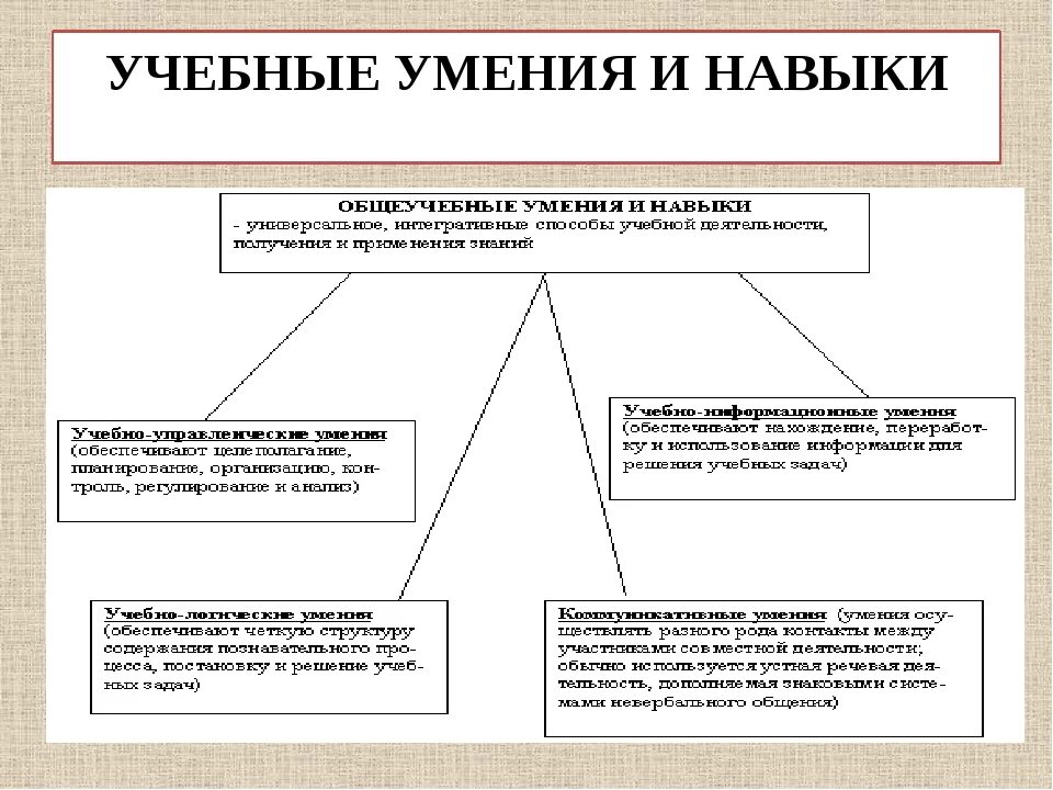 Учебные умения и навыки. Общие учебные умения и навыки. Навыки и умения учебной деятельности учащегося. Умения и навыки примеры.