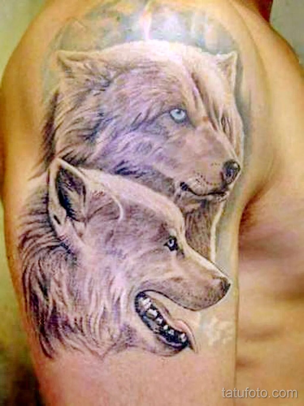 тату волк и волчица. тату волк. тату волк с волчатами. три волка эскиз. двойной волк тату.