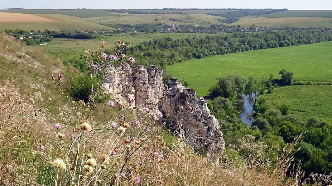 Воронеж холмы. Меловые холмы Воронежской области. Гора Шатрище Воронежская область. Дивногорье Сторожевое. Дивногорье поле.