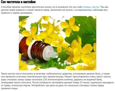 Сок чистотела прием внутрь