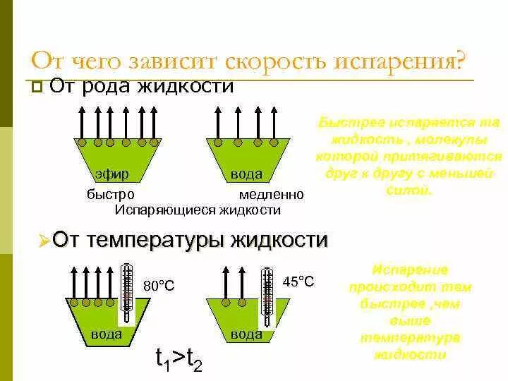 От чего зависит скорость телефона. Скорость испарения жидкости. От чего зависит испарение. От чего зависит скорость испарения. От чего зависит скорость испарени.