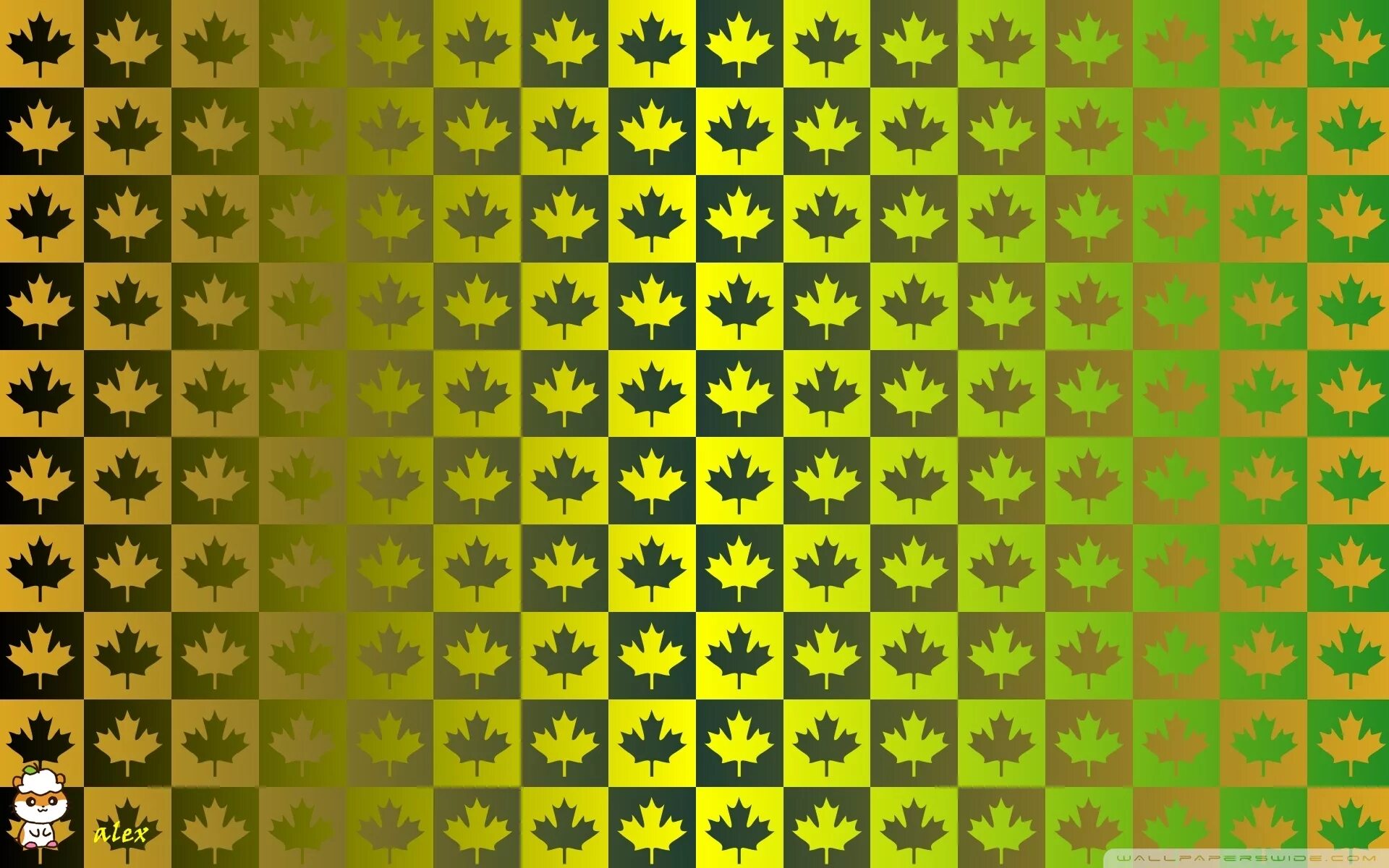 Flag patterns