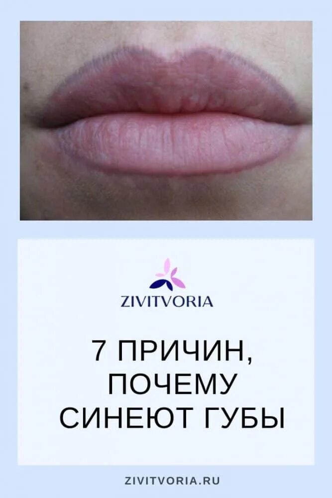 Почему губы синеют у женщин причины. Почему губы синеют у женщин причины