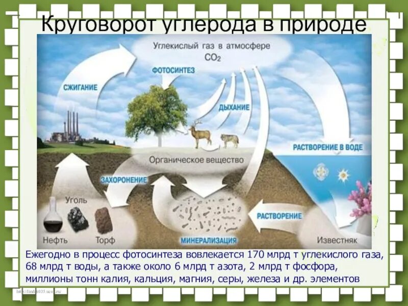 Углекислый газ функции в биосфере. Круговорот углерода биология 9. Зарисовать круговорот углерода. Круговорот углекислого газа в природе. Процесс круговорота углерода в природе.