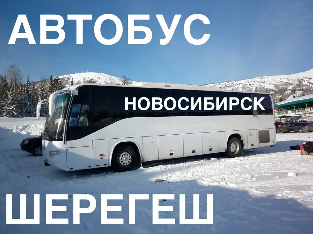 Шерегеш автобус цена. Автобус Новосибирск Шерегеш. Автобус в Шерегеш. Автобус Новосибирск Шерегеш СИБАВТОТРАНС. От Новосибирска до Шерегеша.
