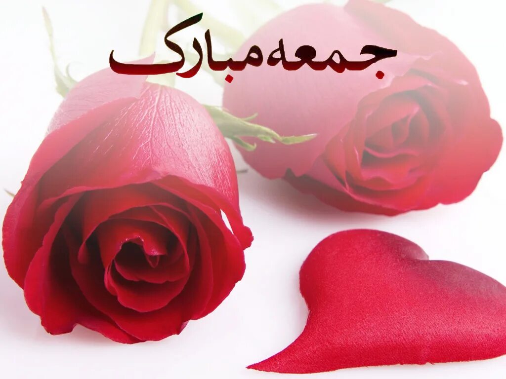 Жума мубарак. Цветы с пожеланием на арабском языке. Поздравление с пятницей на арабском. Джума мубарак розы.