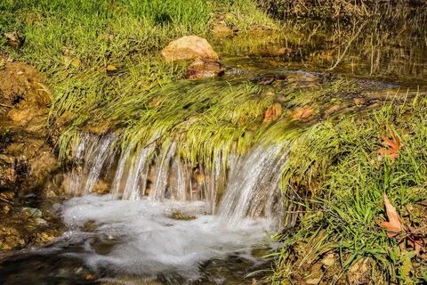 Из родников вода течет в ручьи