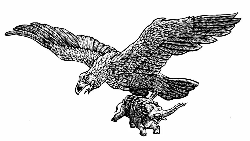 Синдбад и птица рух. Птица рух синдбад мореход. Птица грома герои 3. Птица рухх. Птица рухх синдбад.