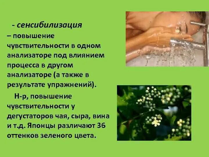 Сенсибилизация происходит в результате. Сенсибилизация. сенсибилизация организма это. сенсибилизация это в психологии.