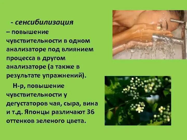 Сенсибилизация это. Сенсибилизация организма это. Сенсибилизация это в психологии. Сенсибилизация пример. Повышение чувствительности в результате