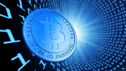 Бит кой
