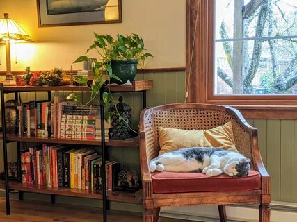 Cozy corner