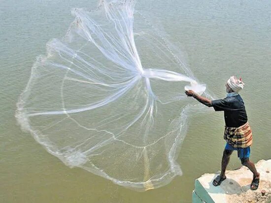 Netted off. Рыболовная сеть. Сеть для рыбалки. Человек в сети рыболовной. Рыболовная сеть сушится.