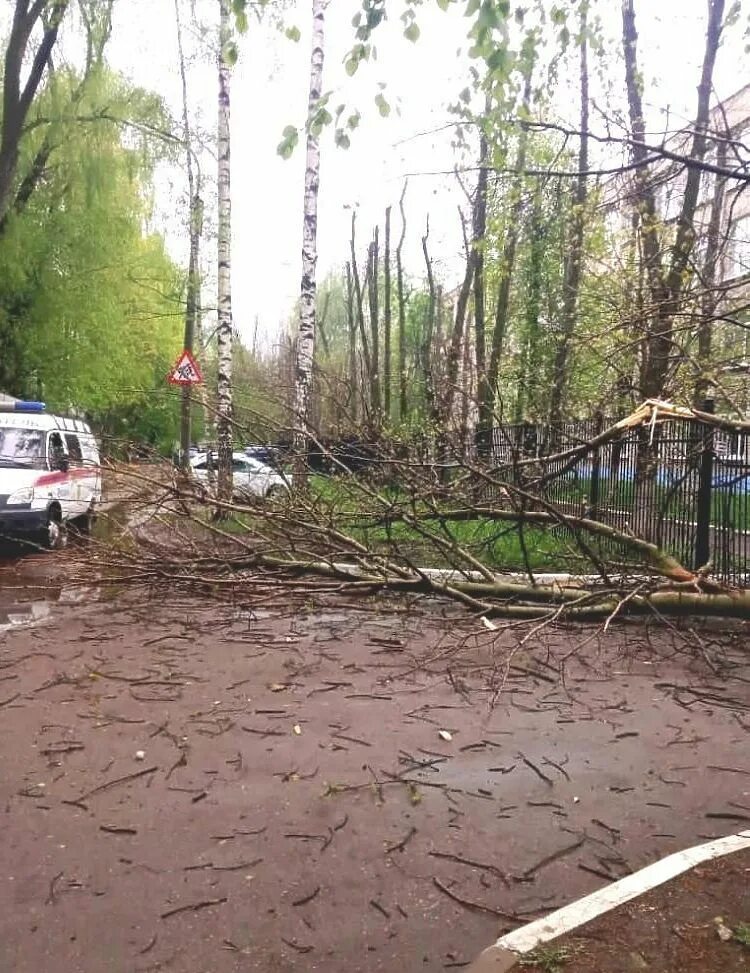 Ураган в рязани вчера. Упало дерево рязань. Ураган в рязани вчера. Гроза в рязани. Ураган в рязани.