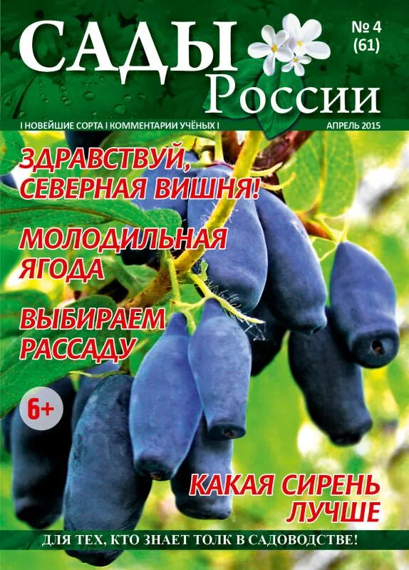 Семена сады России Челябинск. Каталог семян сады России Челябинск. Журнал семена сады России. Семена сады России каталог.