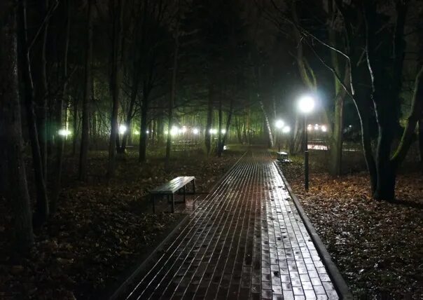 Темный парк. Дождь парк вечер. Ночной осенний Липецкий парк. Тропинка в парке ночью. Вечер 4 3 24