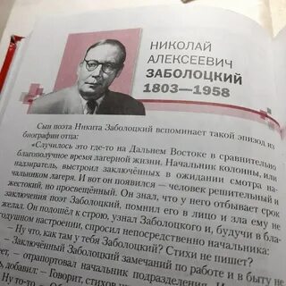 Основная мысль стихотворения заболоцкого