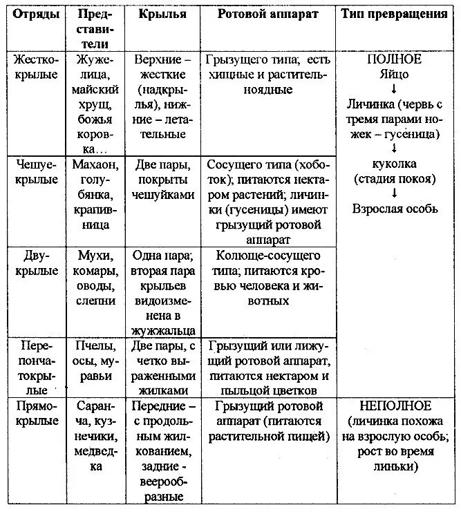 Сравнительная таблица отрядов насекомых. Характеристика отрядов насекомых таблица 7 класс биология. таблица отряды насекомых 7 класс биология. отряд насекомых представители характерные признаки отряда таблица. сравнительная характеристика отрядов насекомых таблица 7 класс.