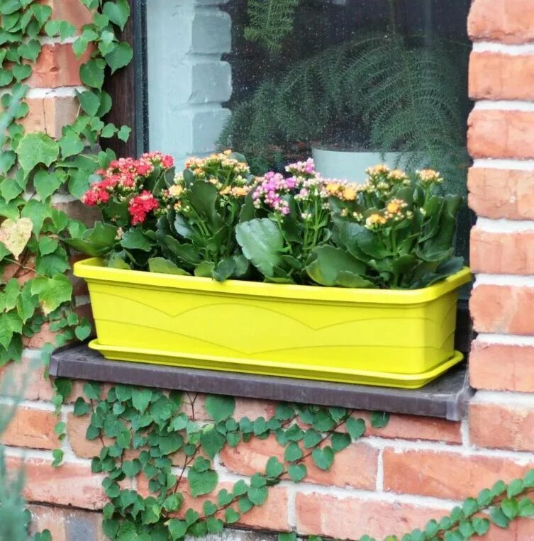 Купить ящик для цветов на балкон