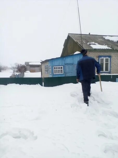 Погода в репинке