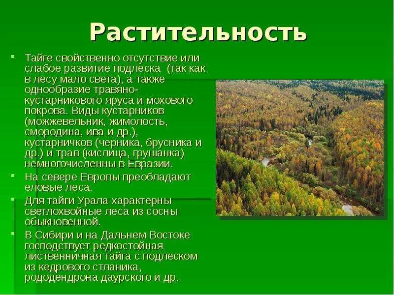 Урок 8 класс природно хозяйственные зоны тайга. Тайга презентация. Тайга природная зона. Презентация Тайга России. Растительность тайги.