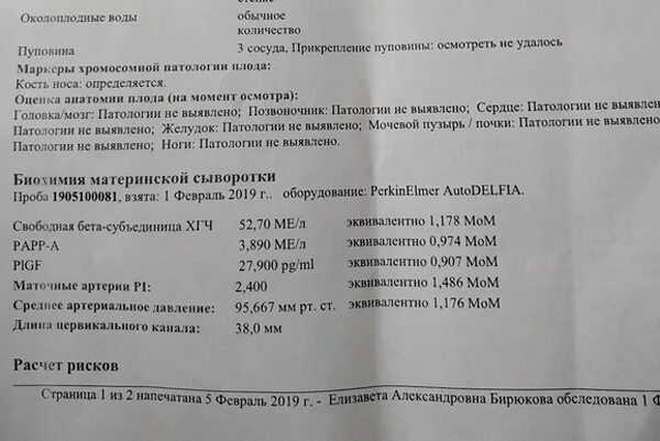 Показатели 1 скрининга беременности норма. Кровь 1 триместр беременности скрининг нормы. Скрининг 12 недель беременности показатели нормы крови. Анализ крови 1 скрининг. Маточная артерия норма 12 недель