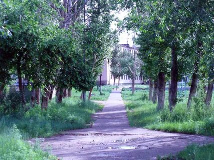 Ясная забайкальский край