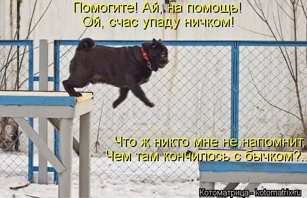 лежать навзничь. лежать ничком. упасть ничком это как. падайте ниц перед аллахом. мальчик звезда диафильм.