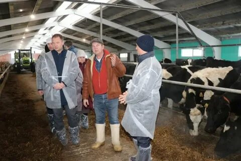 Ройгас шаховская