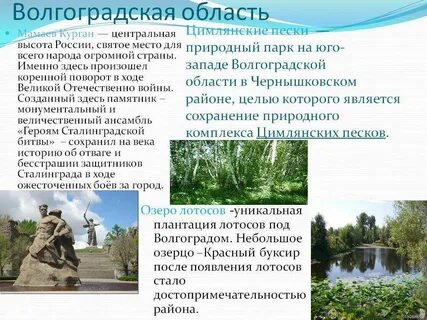 Сообщение про волгоградскую область