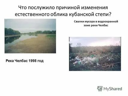 Природа закубанской равнины